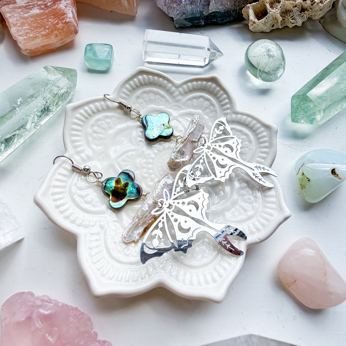 β¨π¦π Wings of Silver Shorelines ππ¦β¨